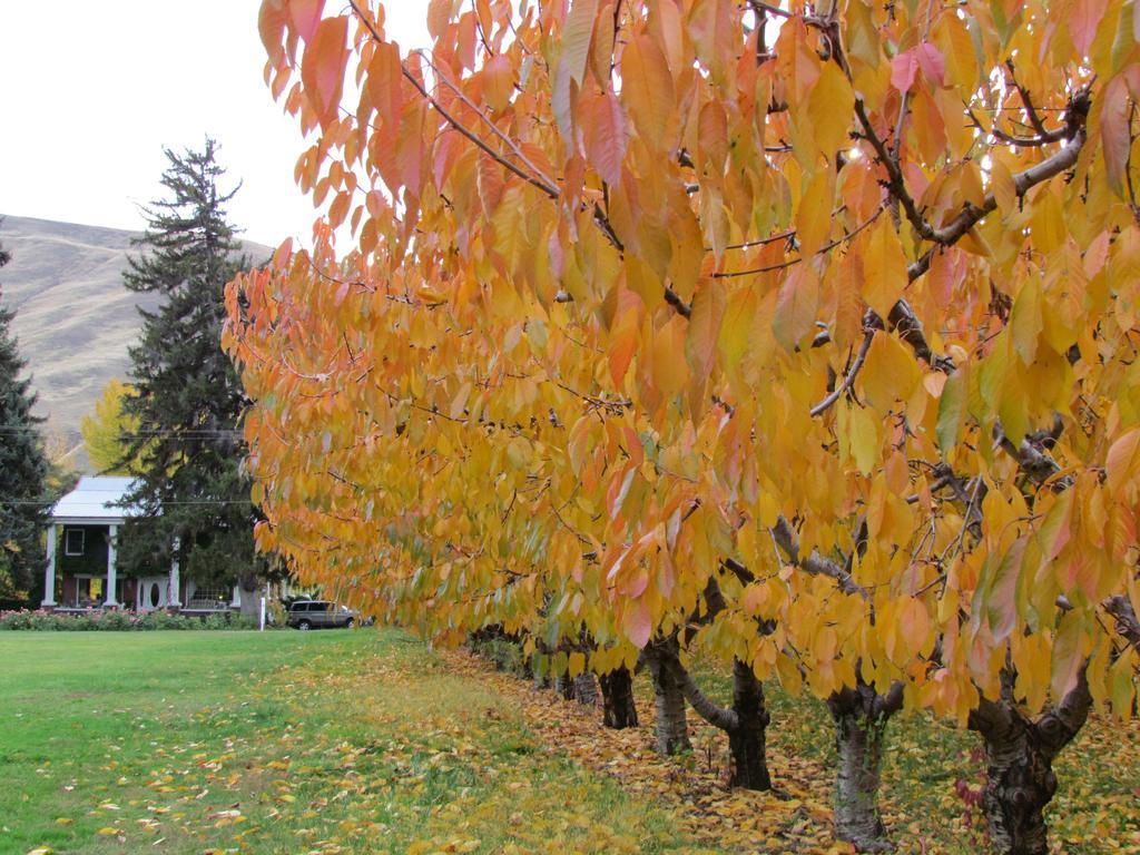 Warm Springs Inn & Winery Sunnyslope Εξωτερικό φωτογραφία